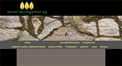 Desktop Screenshot of daniel-baumgartnerag.ch